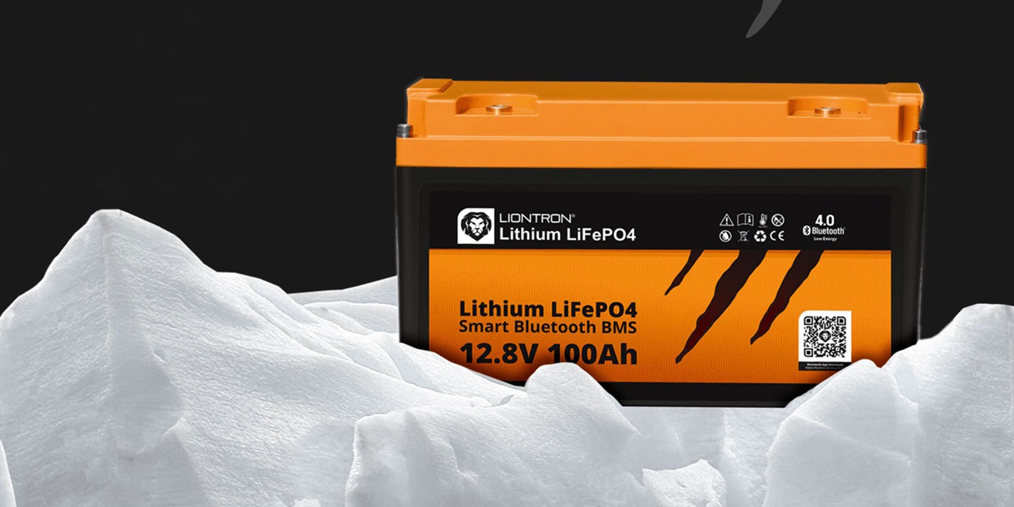 Liontron Lithium LiFePO4 LX 12.8V 100Ah ARCTIC